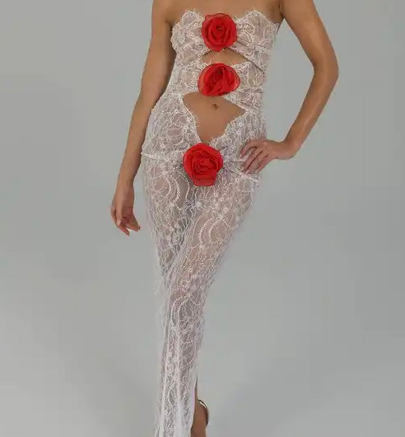 Lace Rose See Through Dress - Elegant and alluring dress with delicate lace and a floral pattern.