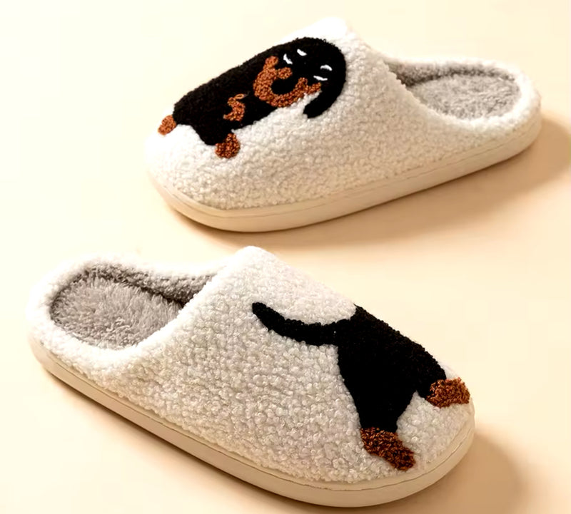 Dachshund Slippers