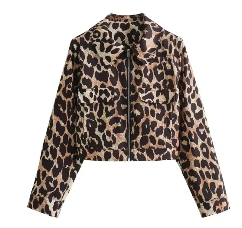 Leopard Print Jacket with Collar