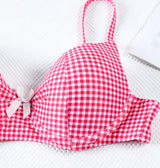 Feminine pink and white gingham bra adorned with a delightful bow - Pink / Red Check Bikini