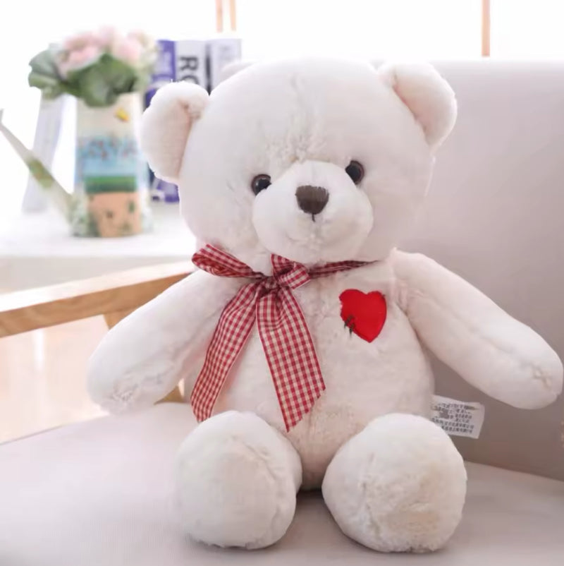 Valentines Day Heart Teddy Bear