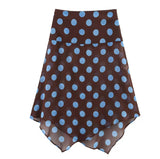Polka Dot Brown and Blue Skirt and Top Co Ord